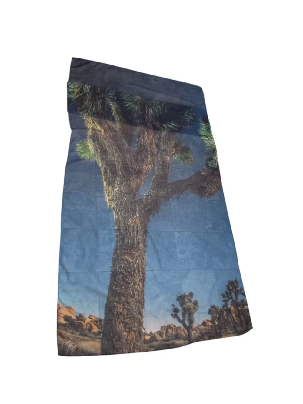 McGovern & Co Joshua Tree National Park Photo Scarf - Lightweight Shawl 72